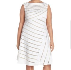 Banded Mesh Fit and Flare Dress